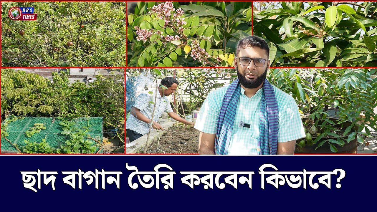 ছাদ বাগান তৈরি করবেন কিভাবে? | Sad Bagan | Insight Story | Gardening Ideas | Brs Times