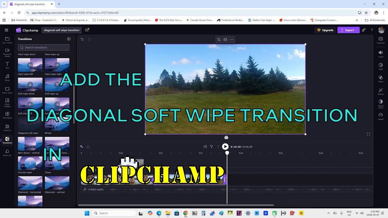 Add the diagonal soft wipe transition in Clipchamp