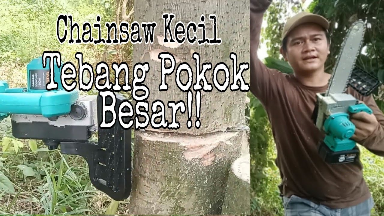 Tebang Pokok Besar dengan Chainsaw Batteri.