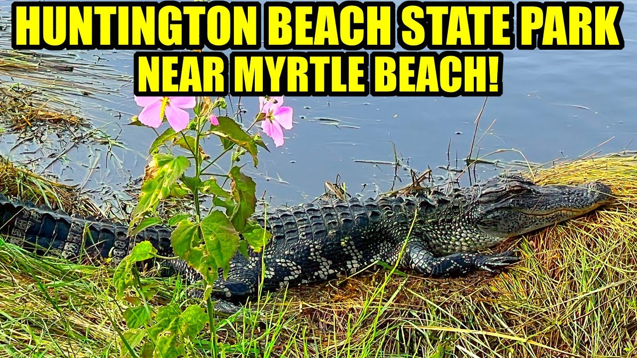 Huntington Beach State Park Tour! A Myrtle Beach Area Hidden Gem!