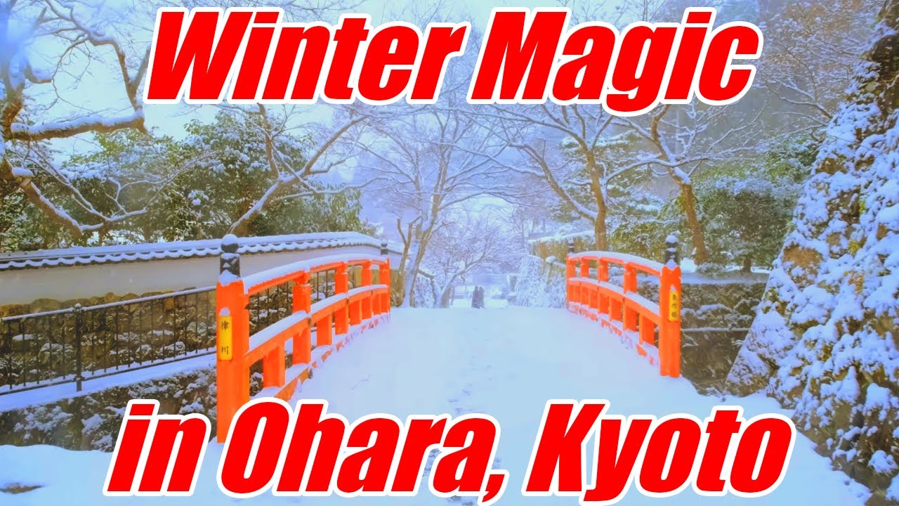 Winter Wonderland in Ohara, Kyoto | Snowfall & Christmas Magic