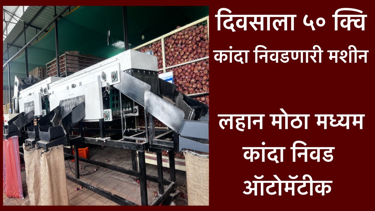 दिवसाला ५० क्वि कांदा निवडणारी मशीन। Onion Grading Machine