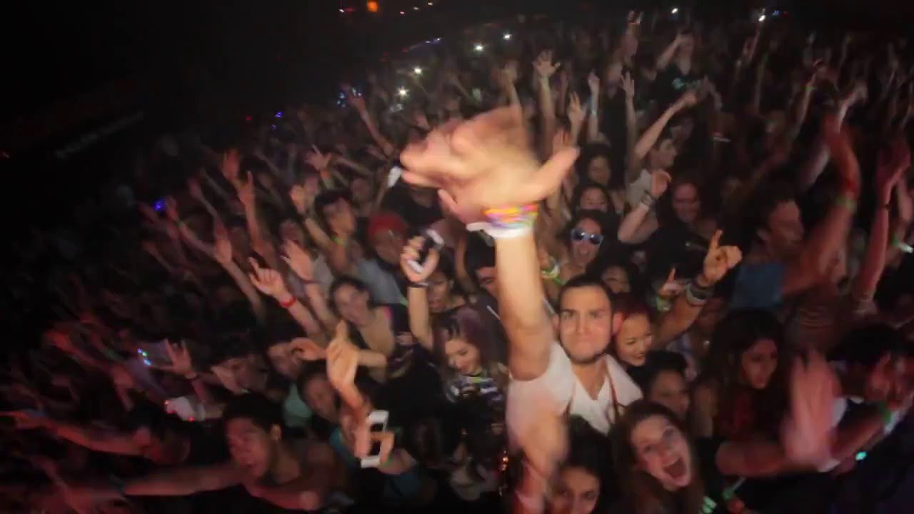 Avicii's 