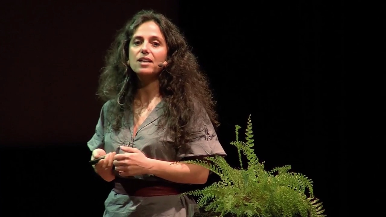 Terra, a Origem e o futuro para uma constru&ccedil;&atilde;o sustent&aacute;vel | Ana Antunes | TEDxAveiro