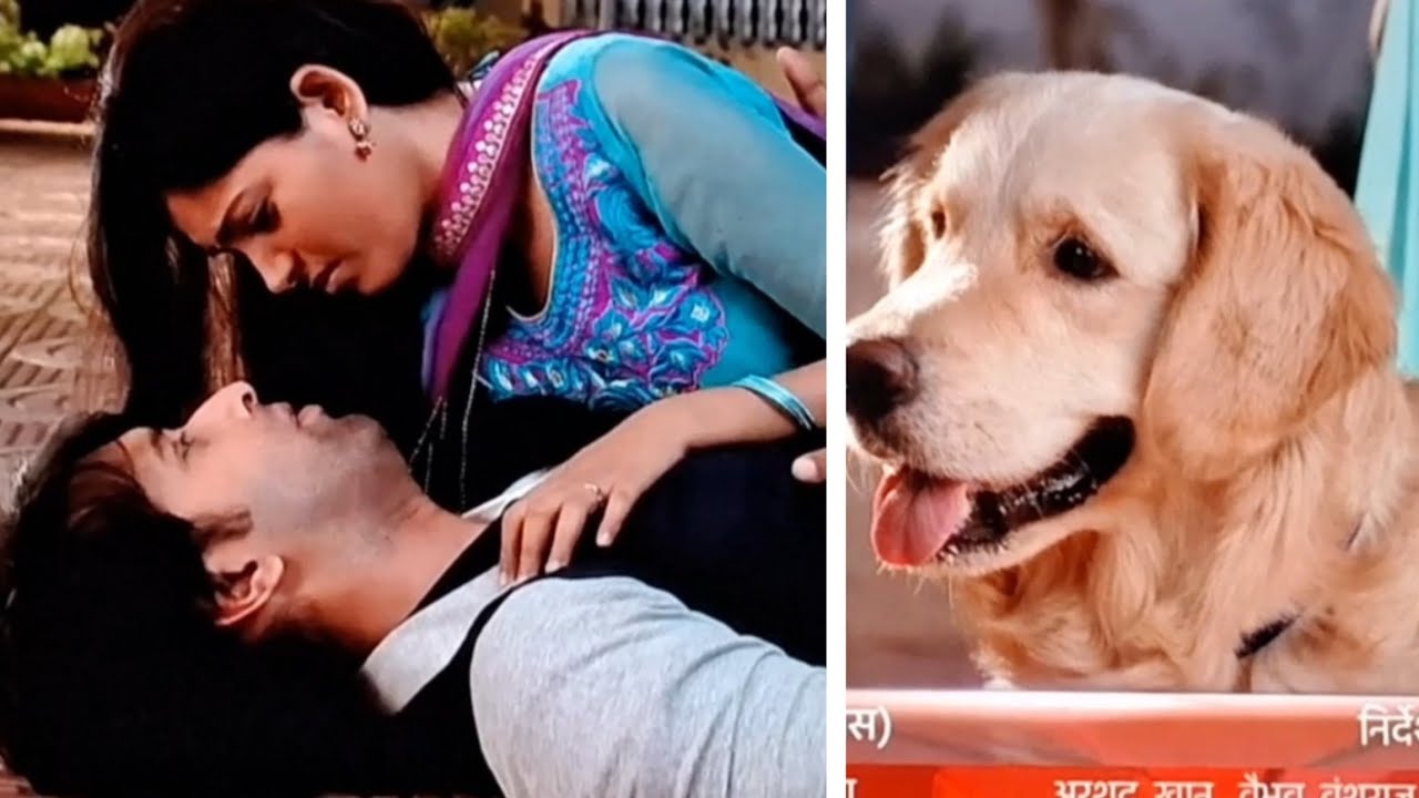 Yuvani and Snoopy vm on Tujh mein rabh dikta hai 🩵💛✨️ Snoopy biggest shipper of Yuvani 
