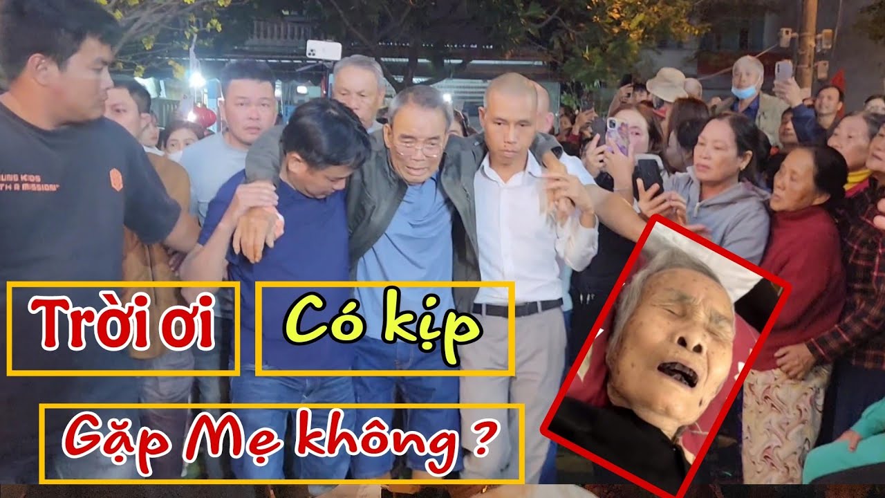 ( 1487 ) Không cầm lòng được. Cuộc đoàn tụ hiếm thấy. Quý vị phải bình tĩnh khi xem.