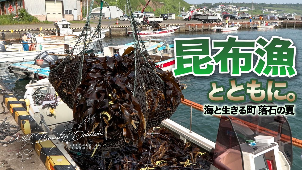 昆布漁。夏のはじまりは、昆布とともに｜落石漁協の昆布漁レポート