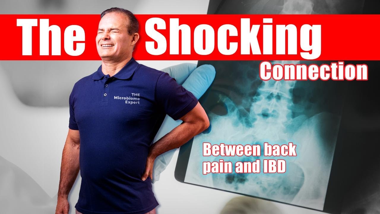 Do You Have Lower Back Pain and Crohn&rsquo;s Disease or Ulcerative Colitis? ​| The Microbiome Expert