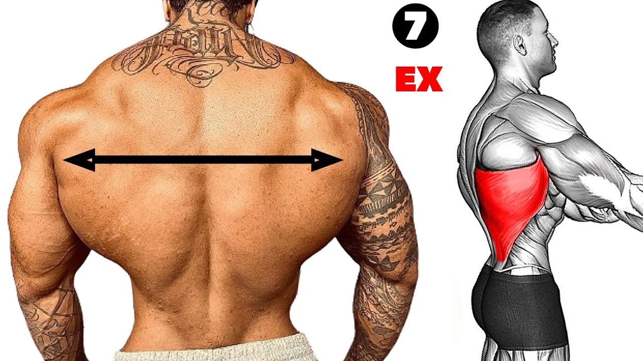 Top Seven Bigger Back Workout for Building Muscles
