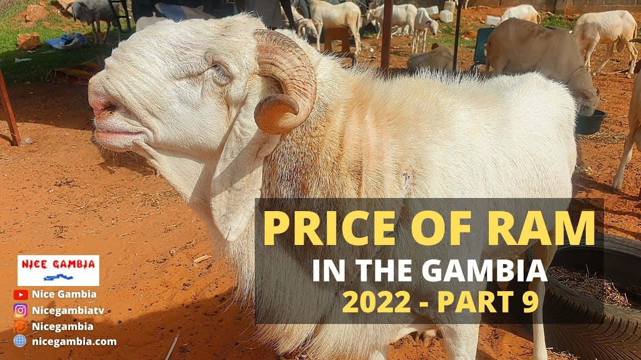Price of RAM in Africa The Gambia Part 9