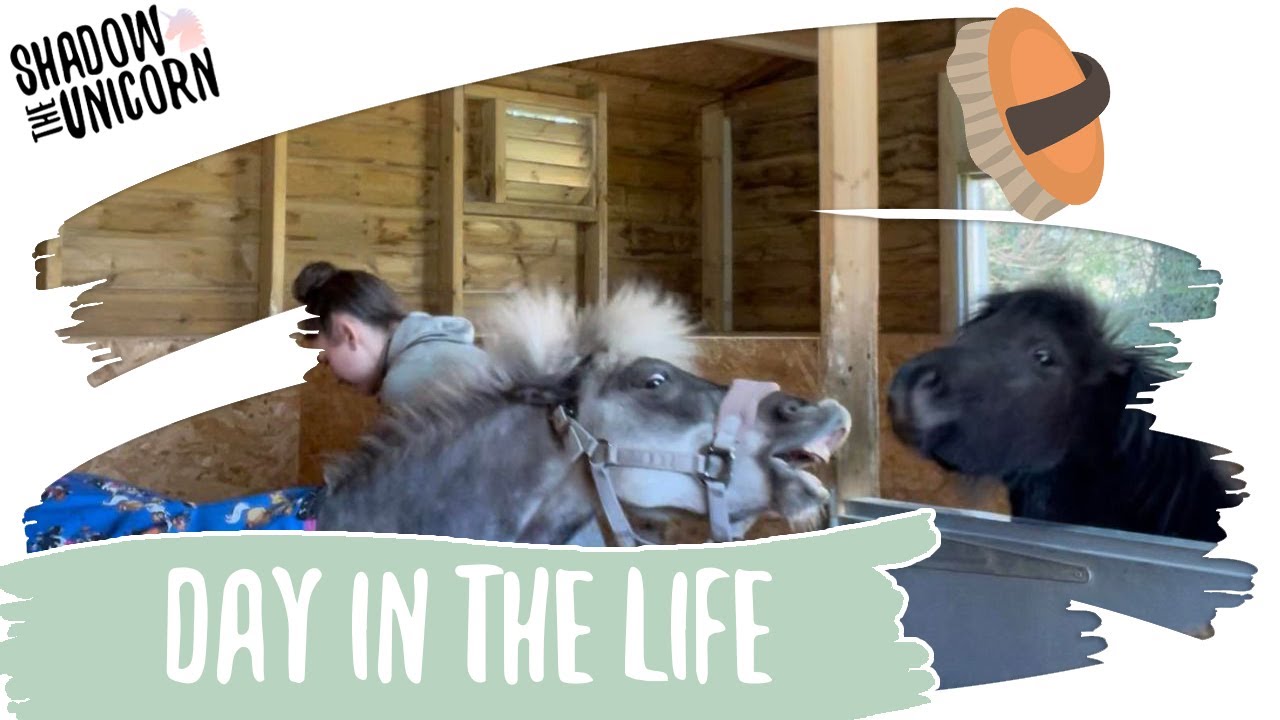 A Day in the life of me! | Shadow the Unicorn