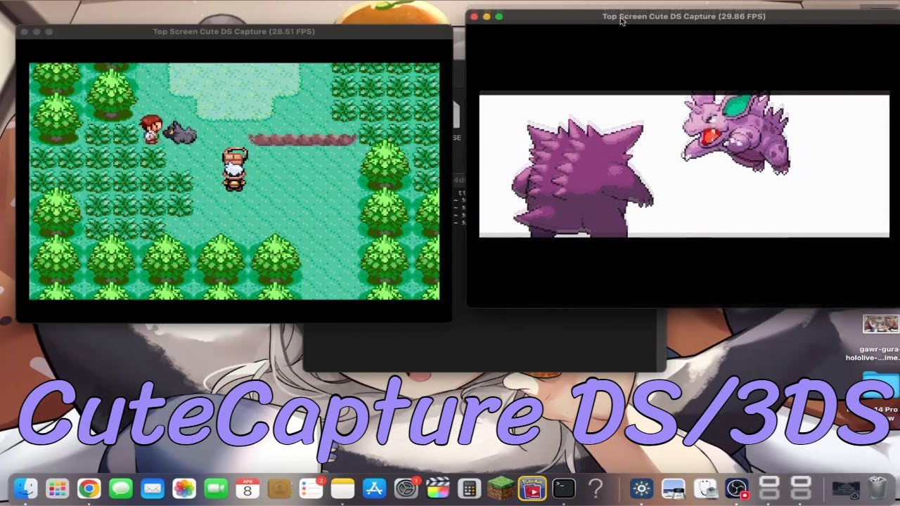 CuteCapture Loopy 3DS/DS