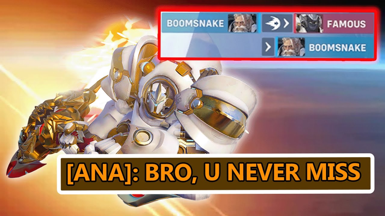 Reinhardt Pins No One Understands But Work