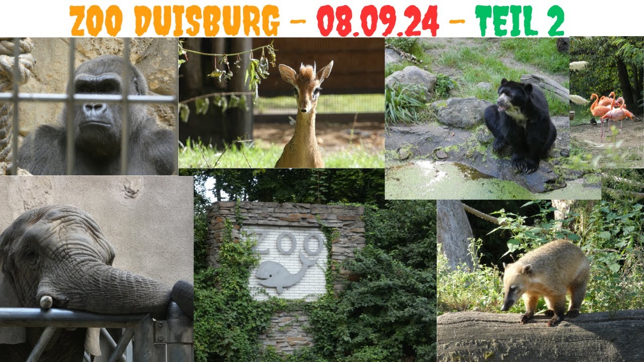 Unser Besuch im Zoo Duisburg am 08.09.2024 - Teil