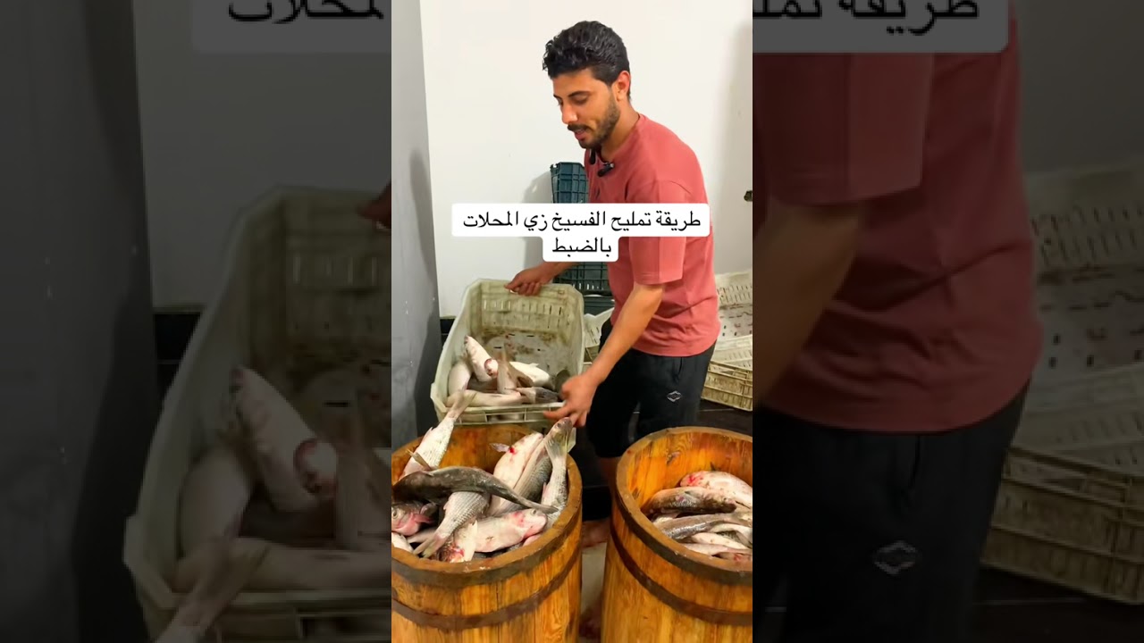 ‏طريقة تمليح الفسيخ زي المحلات بالضبط