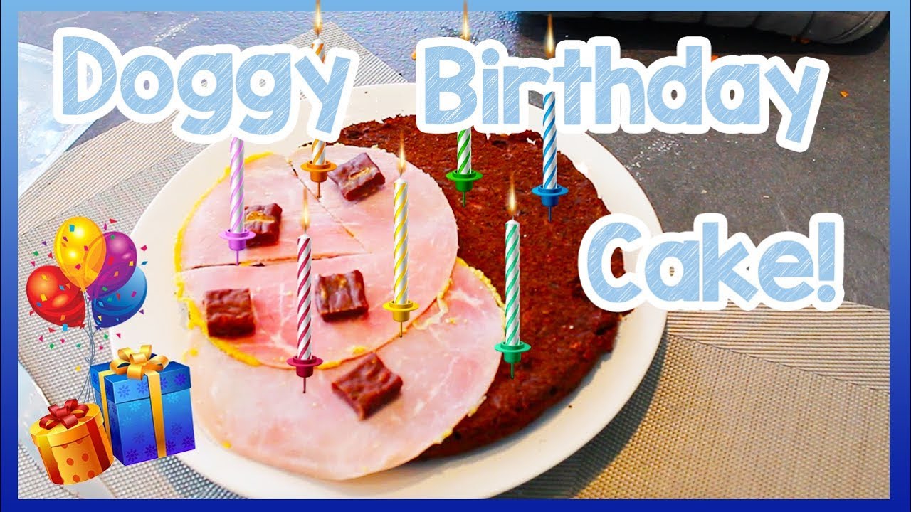 Happy Birthday! DIY Birthday Cake for Dogs! Easy Homemade Birthday Cake for Dogs and Puppies!