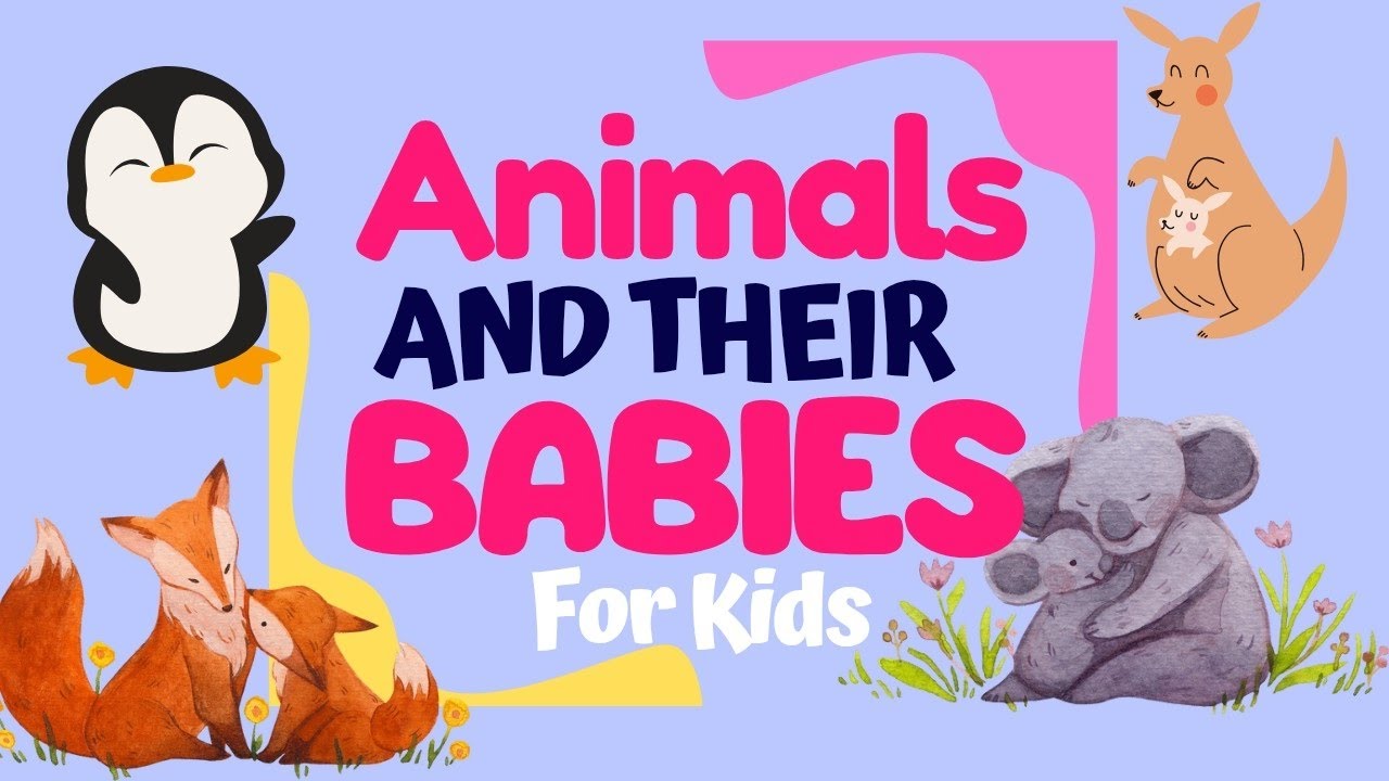 Let's Learn about ANIMALS and their BABIES! Animals and their babies names. #forkids #video 