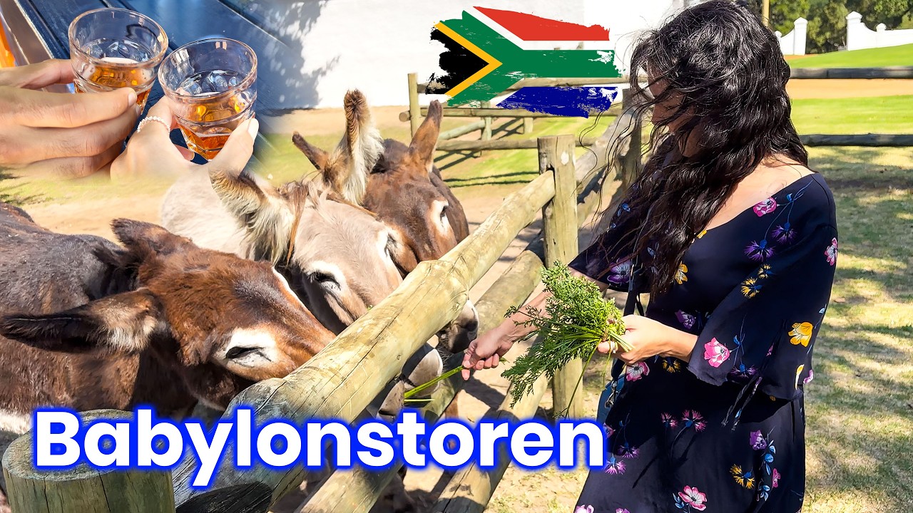 Babylonstoren, One of South Africa’s Oldest Farms🌻