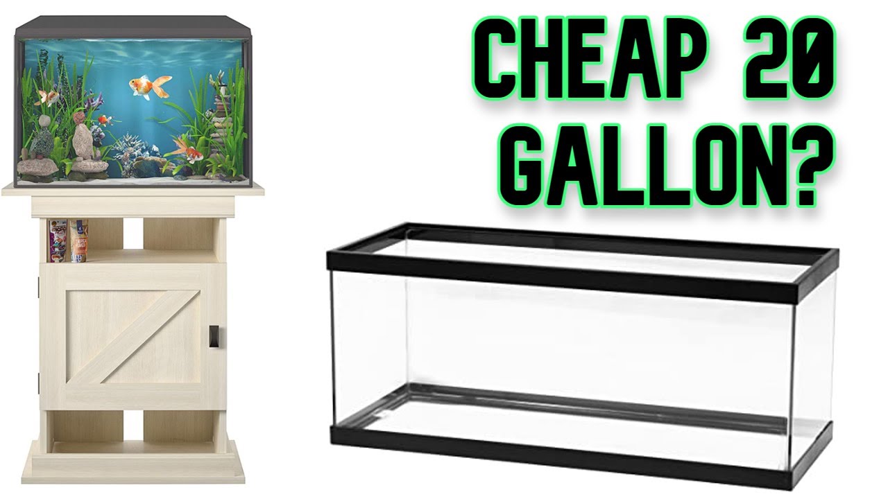 Finding the Cheapest 20g Setup