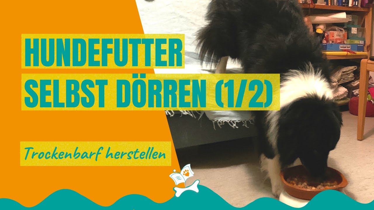 Trockenbarf selber machen (1/2): Hundefutter dörren, gesund und bedarfsgerecht