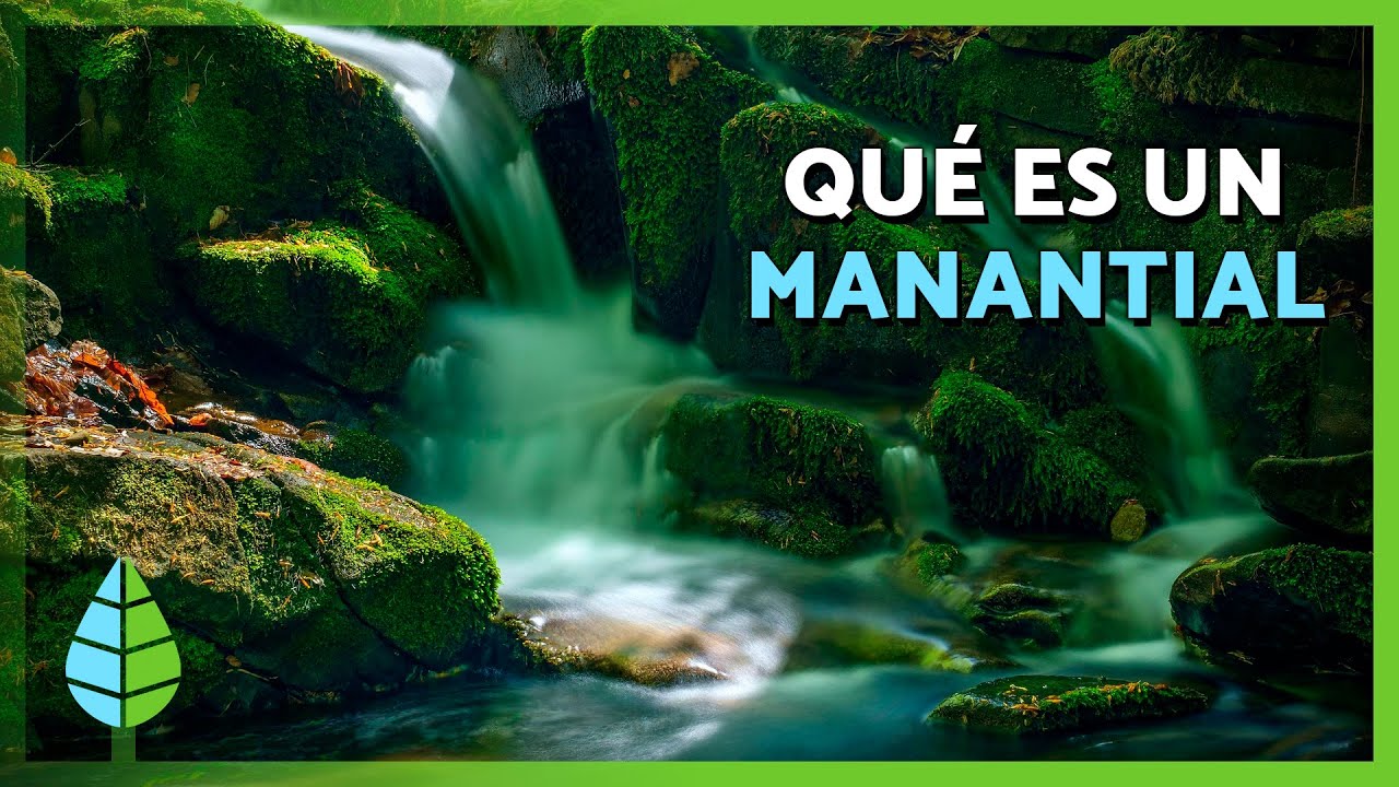 MANANTIALES de AGUA 💦🏞️ | Qué son, cómo se forman e importancia