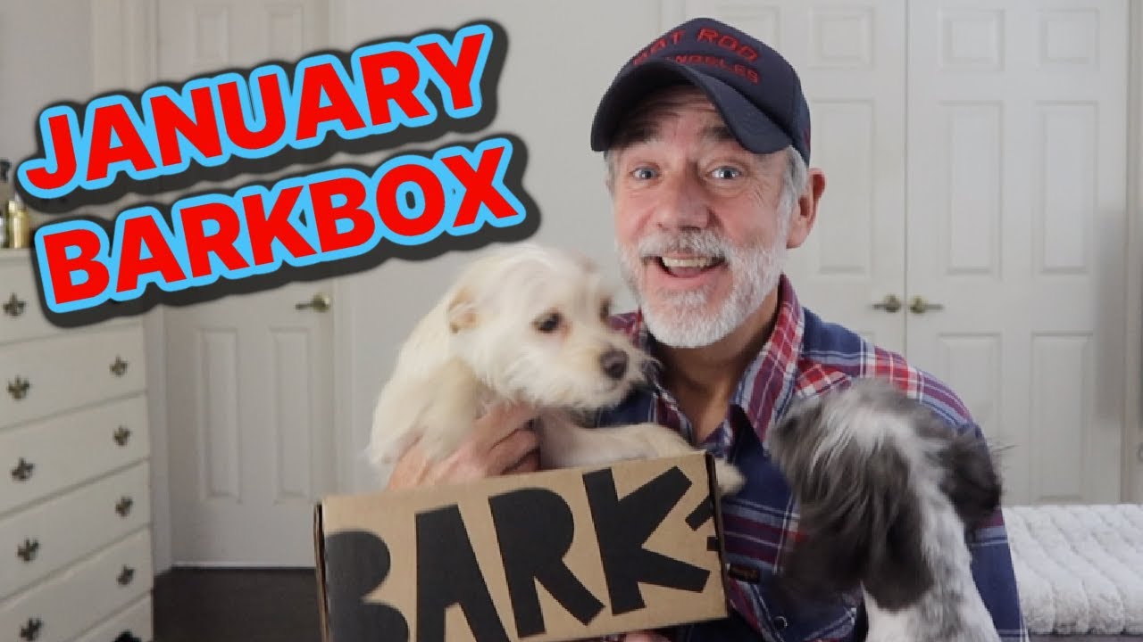 Распаковка Barbox с собаками!