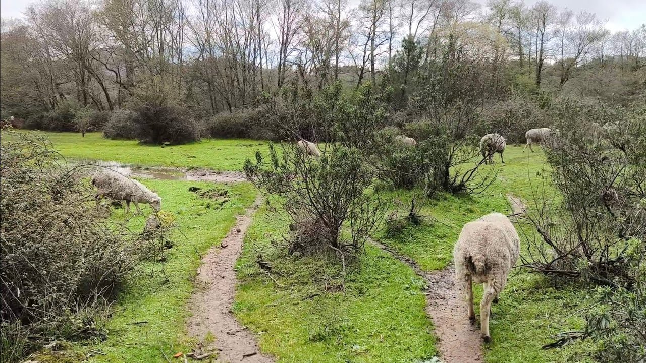 Mucha agua, nos inundamos en el campo, y cosas de los antiguos