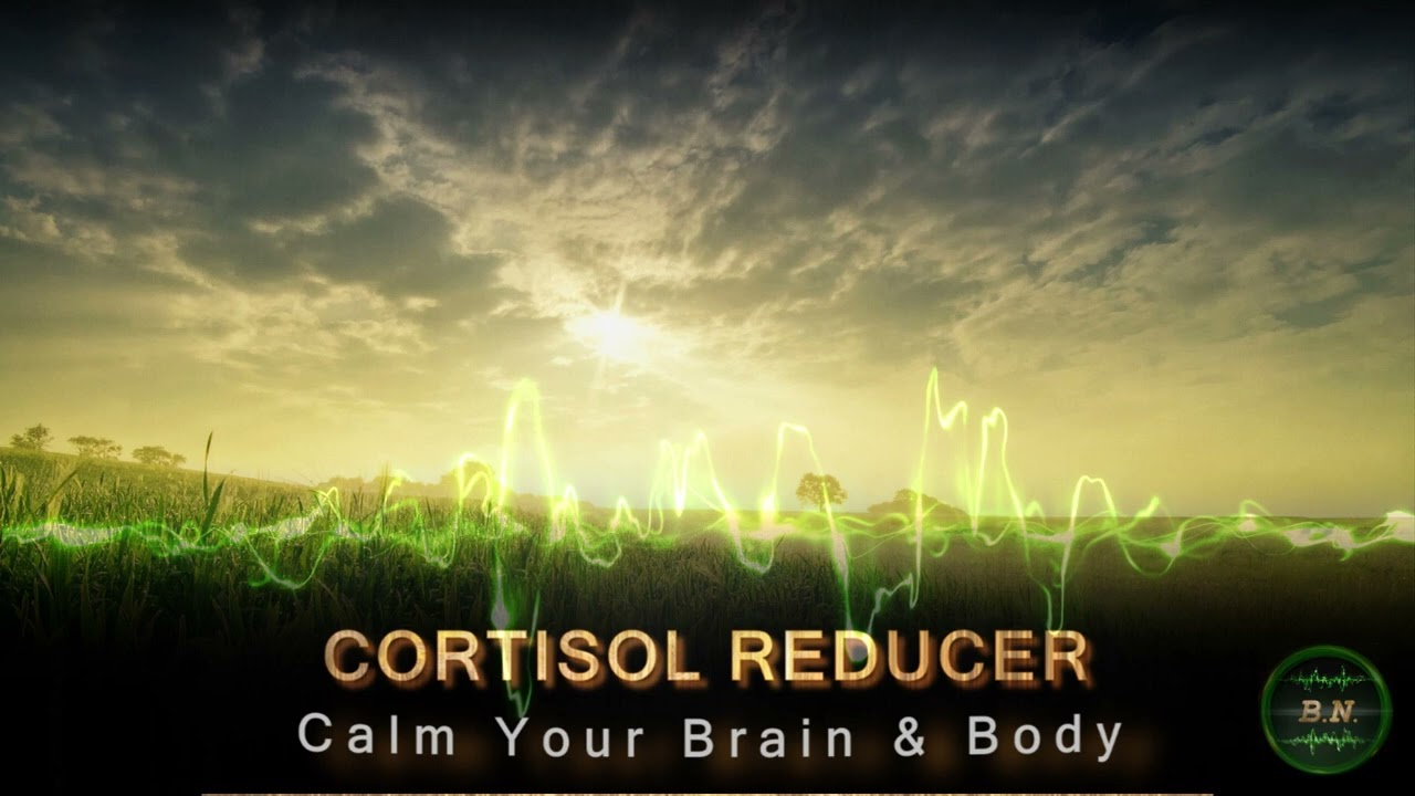 cortisol is not my problem