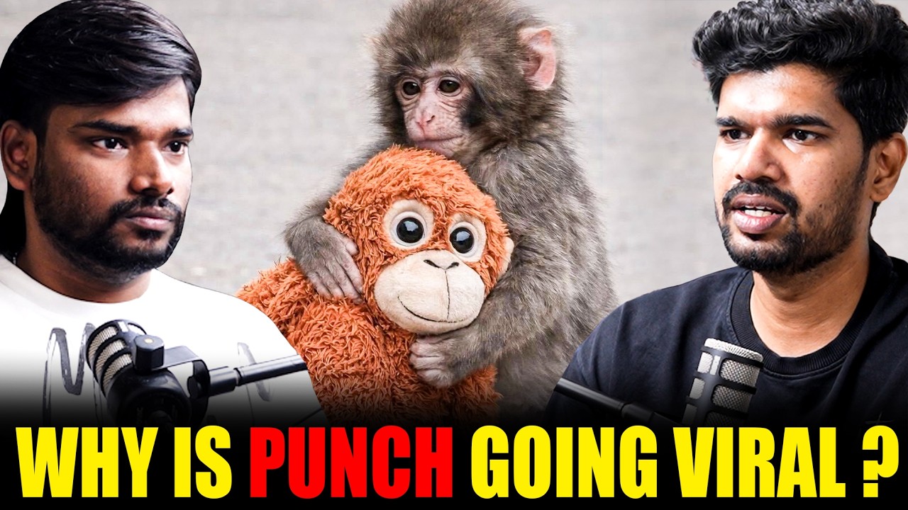 Why Punch Monkey Is Going Viral Worldwide