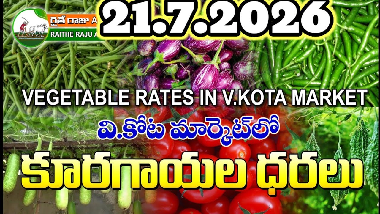 #AMC V.KOTA TODAY BEANS PRICE IN MARKET #ALL VEGETABLE PRICES #marigold 