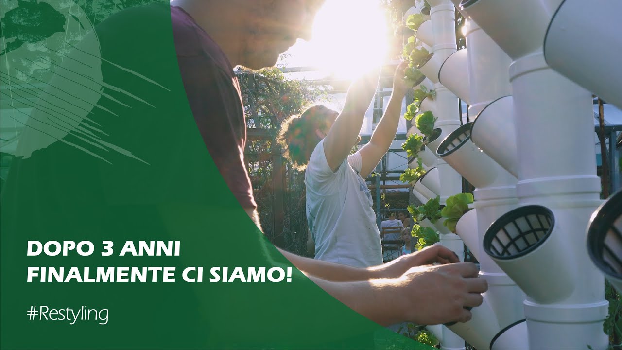 ORTO VERTICALE delle Serre dei Giardini - tante nuove minibraghe!