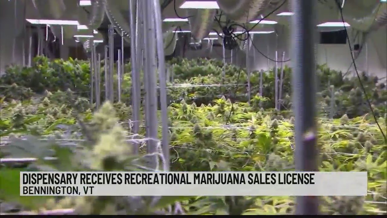 Dispensary receives recreational marijuana sales license