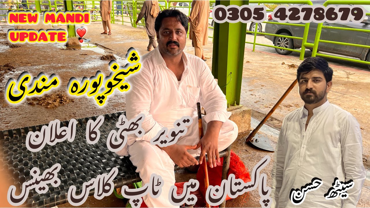 Sheikhupura mandi ki new update | alla nasal ka mall mandi ma | watch full video more intersting 👍👍