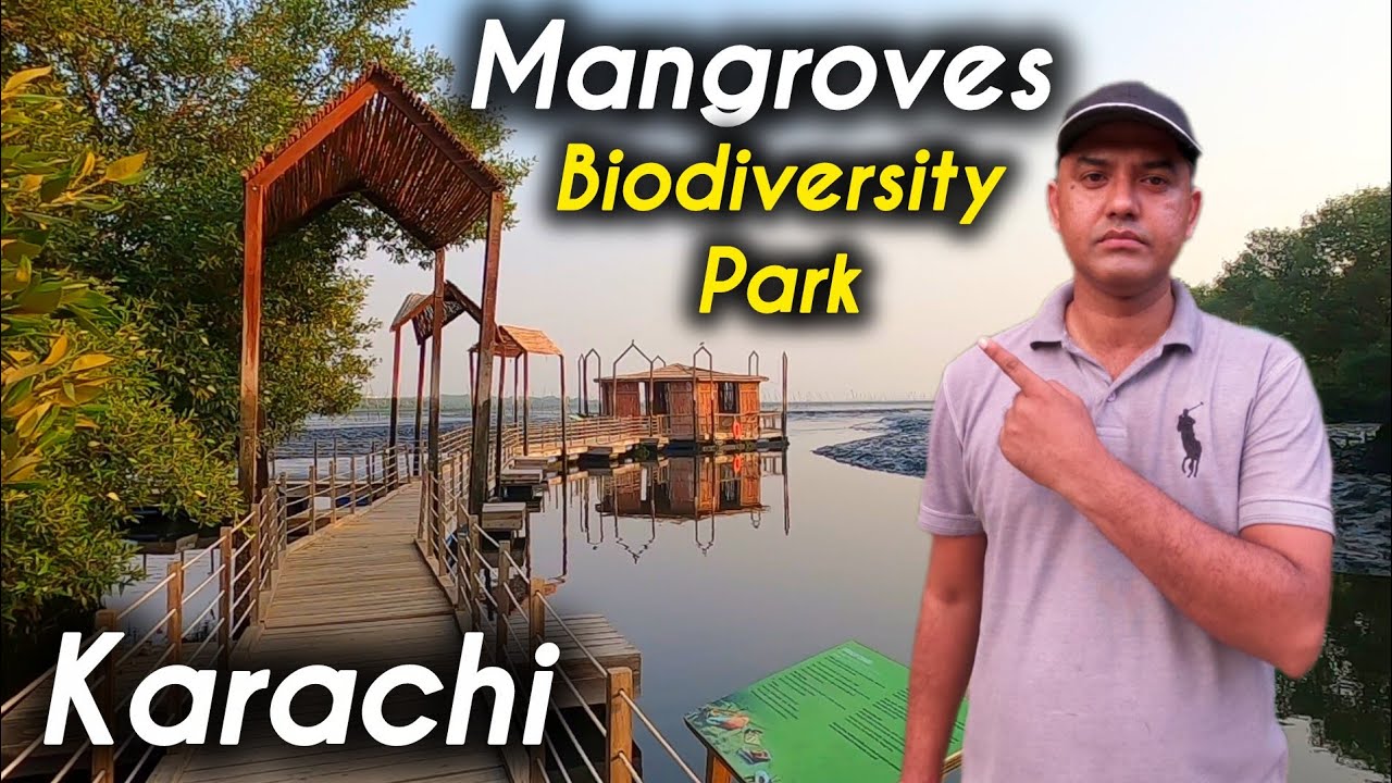 Mangroves Biodiversity Park Karachi | Travel Vlog
