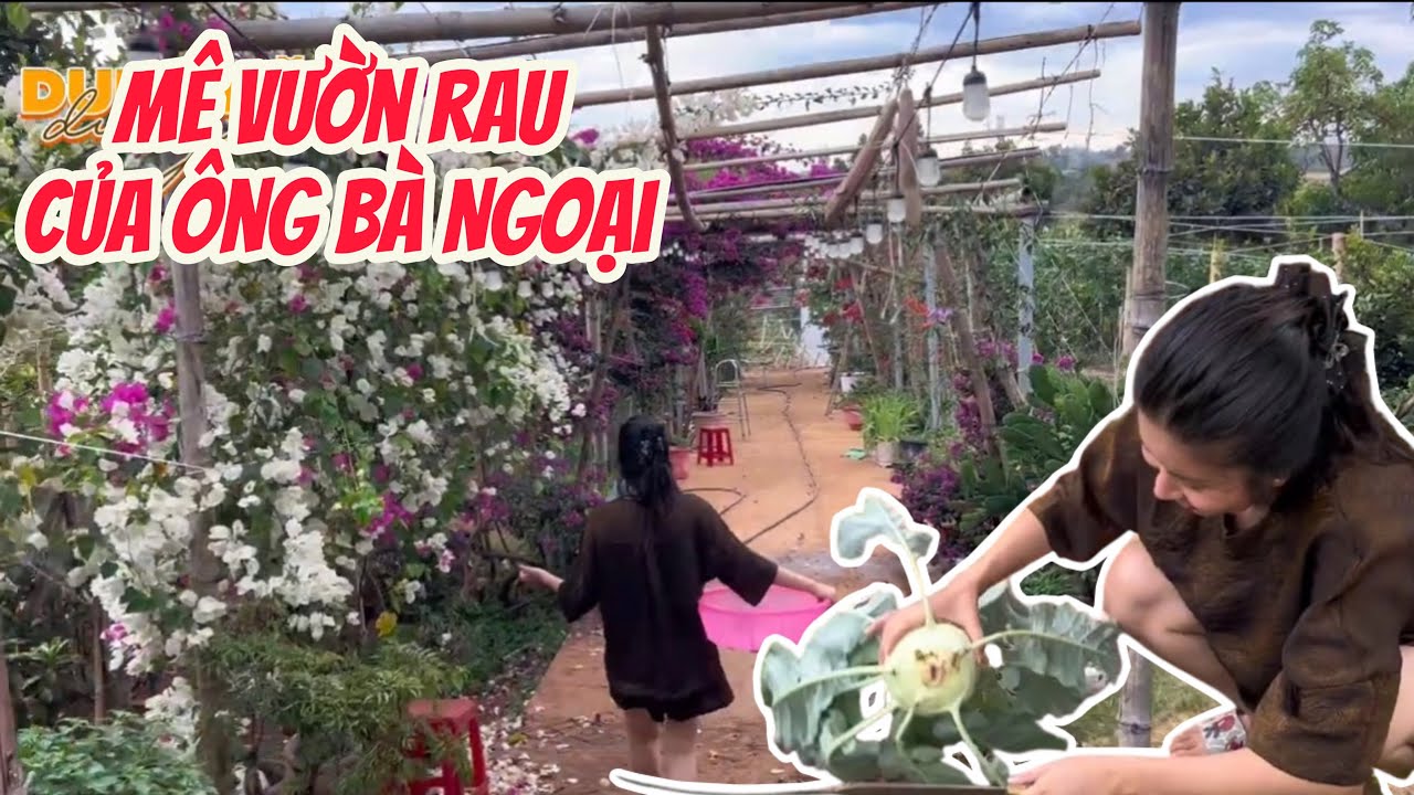 Tết về ĐắK Nông mê mỗi vườn rau của Ông Bà Ngoại