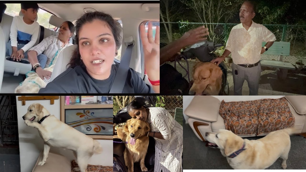 Dog 🐶 special vlog ✨