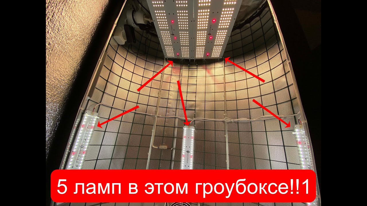 5 источников света в бесшумном овальном гроубоксе. ЗАЧЕМ?