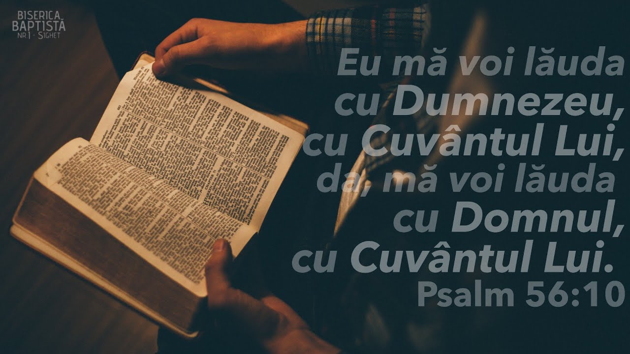 Duminică  - 15.02.2026