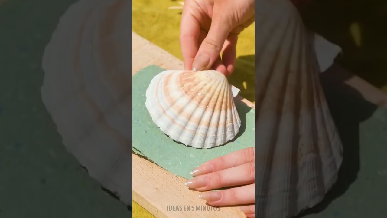 &iquest;Te encanta la playa? Cuaderno hecho a mano con conchas marinas DIY solo para ti 🐚