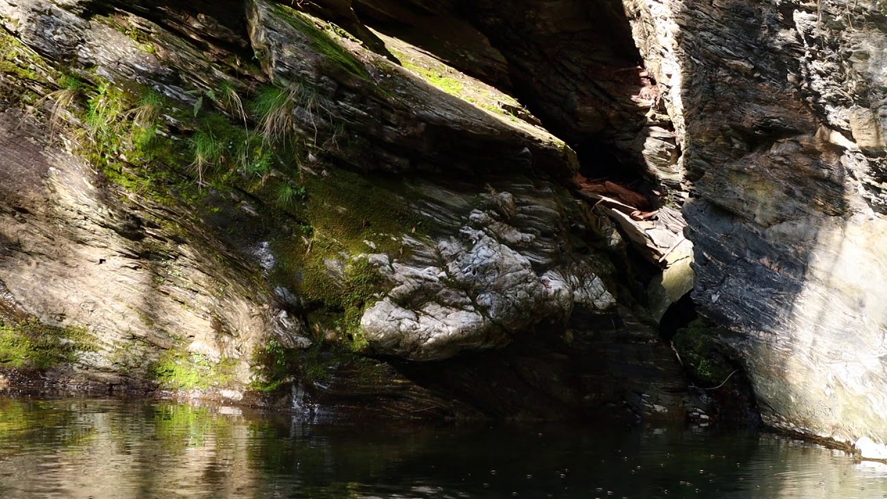 Reflektionen - water, light, leaves