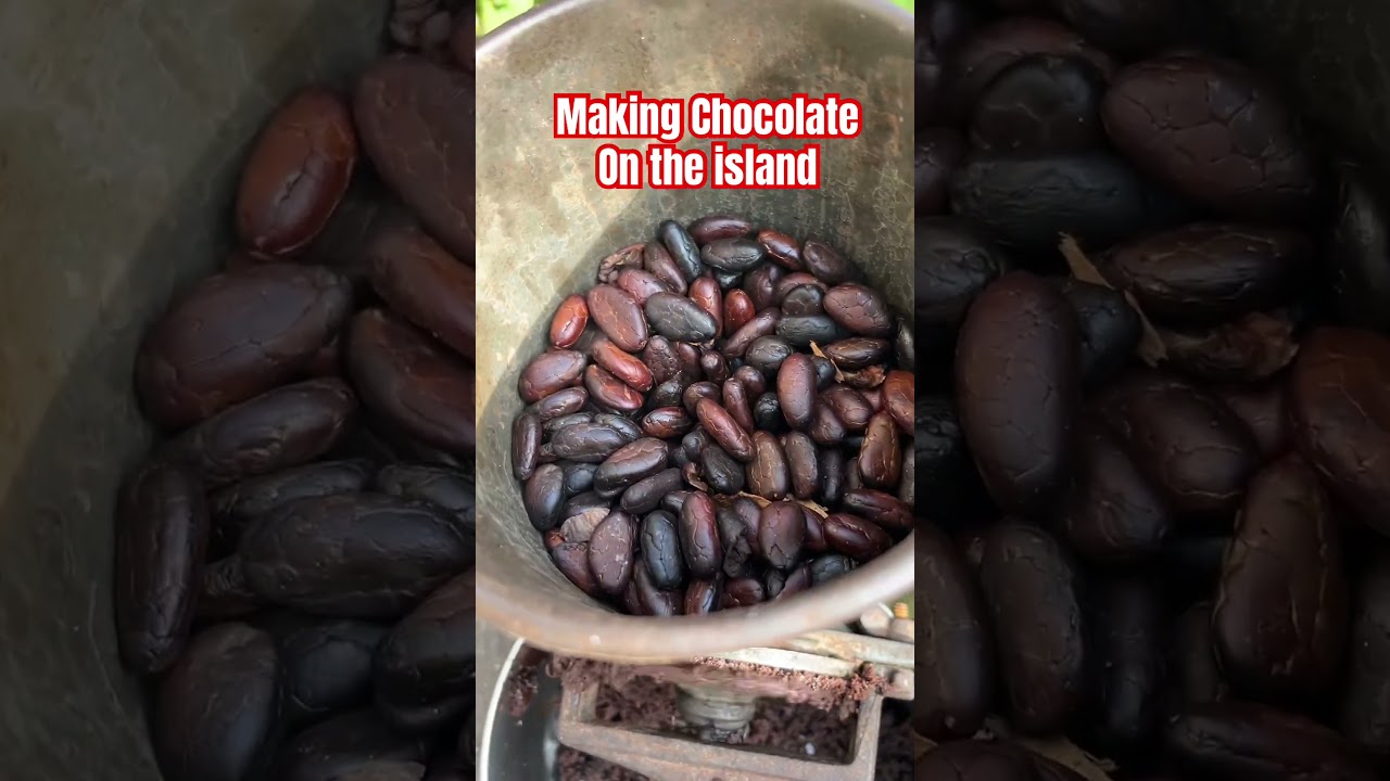 I Made Chocolate From Scratch | Cocoa Beans To Chocolate in Jamaica #chocolate #cocoa #jamaica