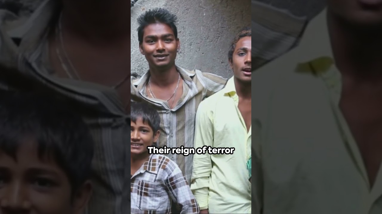 Top 5 Deadliest Gangs of India 