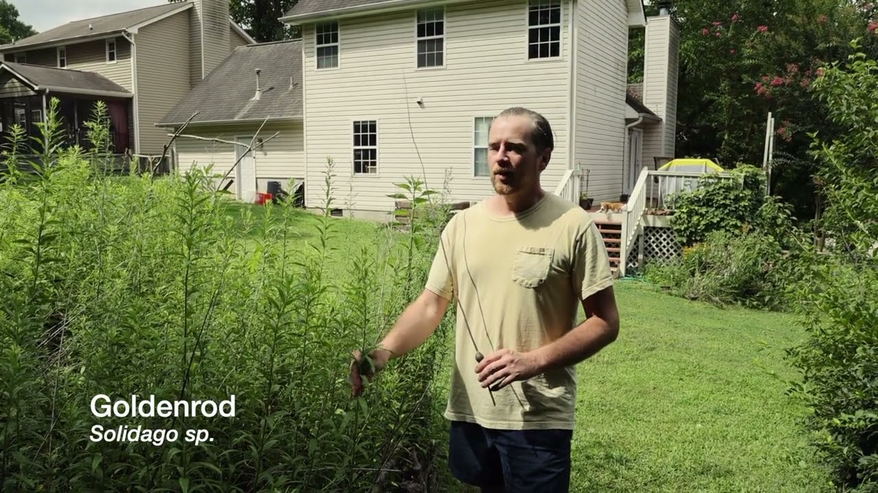 Native Garden Tour with Will Kuhn