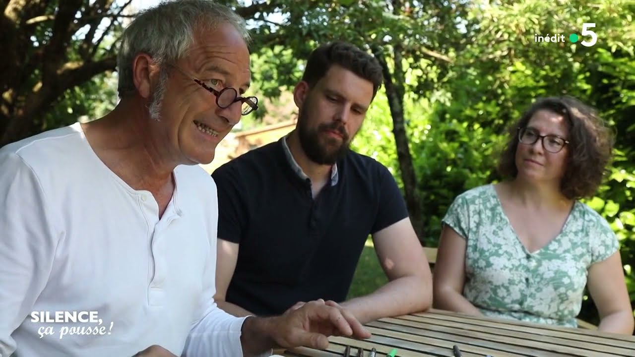 Pas de panique : donner du volume aux murs et au jardin - Silence, ça pousse ! 20 novembre 2021