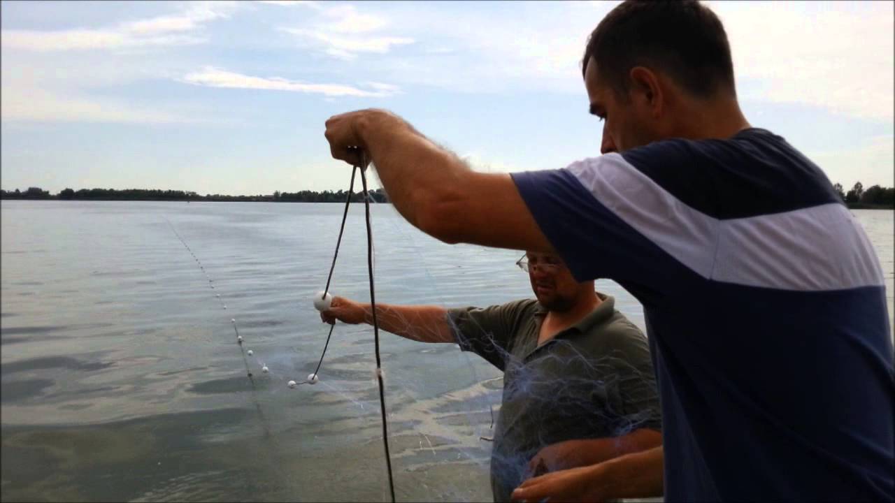 Bacanje prve mreže u jezero Palić