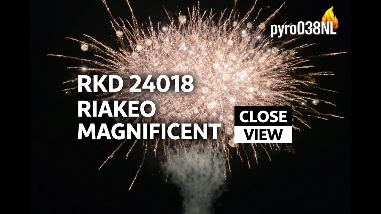 RKD 24018 Riakeo Magnificent – Close View