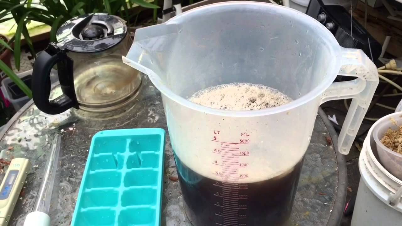 COFFEE FERTILIZER: FERTILIZING NEPENTHES CARNIVOROUS PLANTS WITH COFFEE INSTRUCTIONS