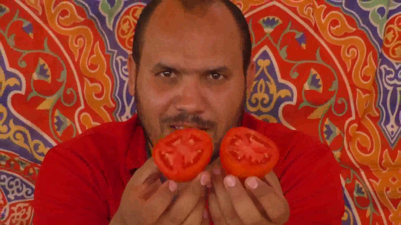 : برنامج سنابل :إبتسمي با أرض الجموعبة