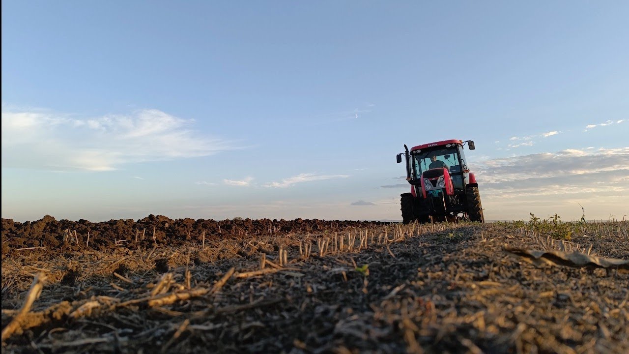 Zetor Proxima 90 & Regent Plow 3 furrows-Zetor Proxima zaorał ziemię-Orka 2024