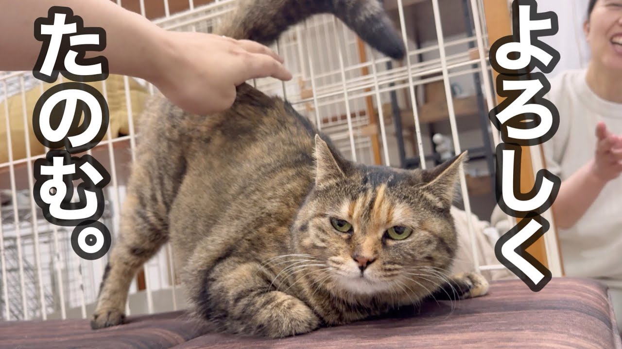 【新入り】訳あってこの子の面倒を見ることになりました…。